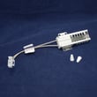 Range Bake Igniter EBZ37171602