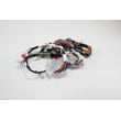 Dishwasher Wire Harness EAD61725001