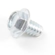 Washer Screw