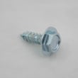 Washer Screw
