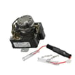 Timer 60hz for Kenmore 11086572720 - Part 696613