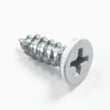 Dryer Screw