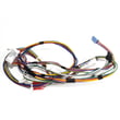 Washer Wire Harness for Roper RTW4100SQ1 - Part W10071410