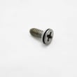 Washer Screw