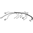Wire Harness for Maytag MLG24PRAWW2 - Part W10167620