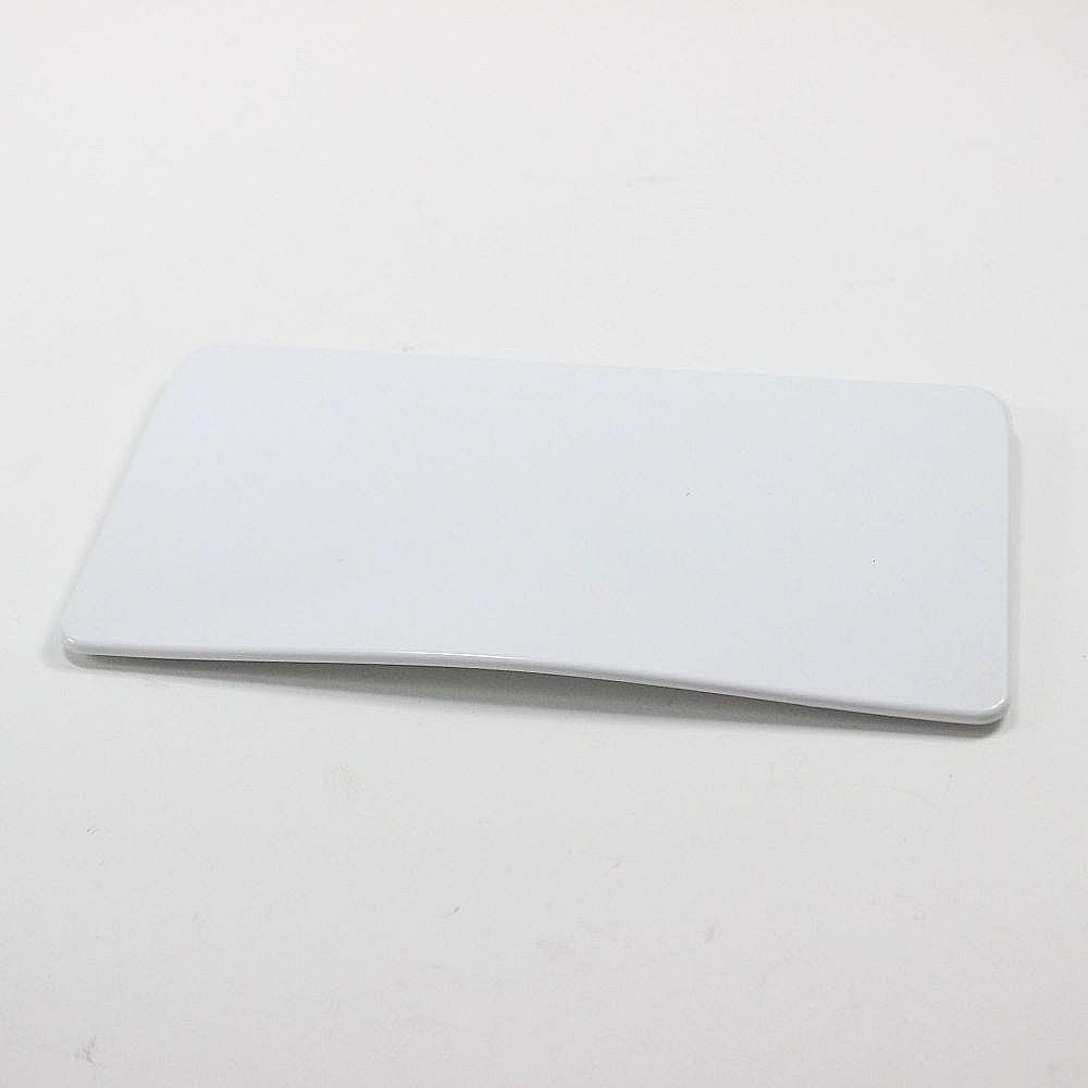 Dryer Lint Screen Door (White)