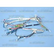 Washer Wire Harness for Maytag MHWZ600TE00 - Part W10184856