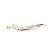 Washer Wire Harness for Maytag MHWE500VW11 - Part W10189679