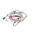 Washer Wire Harness for Kenmore 11029442800 - Part W10206344