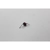 Dryer Lint Screen Door Spring WPW10219015