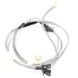 Dryer Wire Harness W10242907