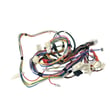 Washer Wire Harness for Whirlpool WTW57ESVH1 - Part W10244926