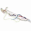 Washer Wire Harness for Maytag MHWE450WR02 - Part WPW10283494