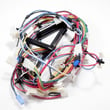 Dryer Wire Harness