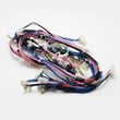 Washer Wire Harness for Maytag MHWE301YG00 - Part W10323100
