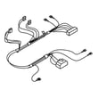 Wire Harness for Maytag MLG20PDBGW2 - Part W10364668