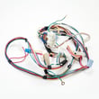 Kenmore Washer Wire Harness for Kenmore 1105062110 - Part W10379517