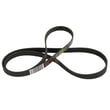 Washer Drive Belt 8181670