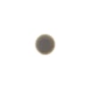 Bumper - Lid W10631074