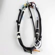 Inglis Washer Wire Harness, Lower W10678690