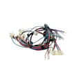 Main Harness W10704067