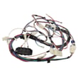 Kenmore Main Harness W10706062