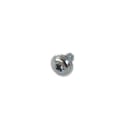 Washer Screw