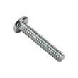 Washer Screw