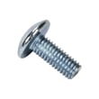 Screw 580023