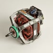 Dryer Drive Motor