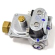 Commercial Dryer Gas Valve Assembly 60353P