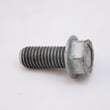 Electrolux Washer Drive Pulley Screw