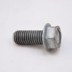 Washer Drive Pulley Screw 131303700