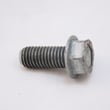 Washer Drive Pulley Screw