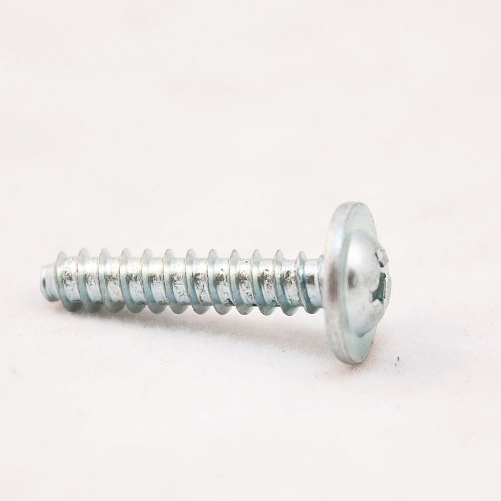 Part #131382300, Dryer Drum Baffle Screw (Replaces 3202754) / 1.00 x 0.40 x 0.30