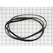Dryer Drum Belt WE12X49