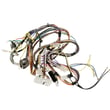 Harness Assembly for GE GTX42GASJ1WW - Part WE15X24538