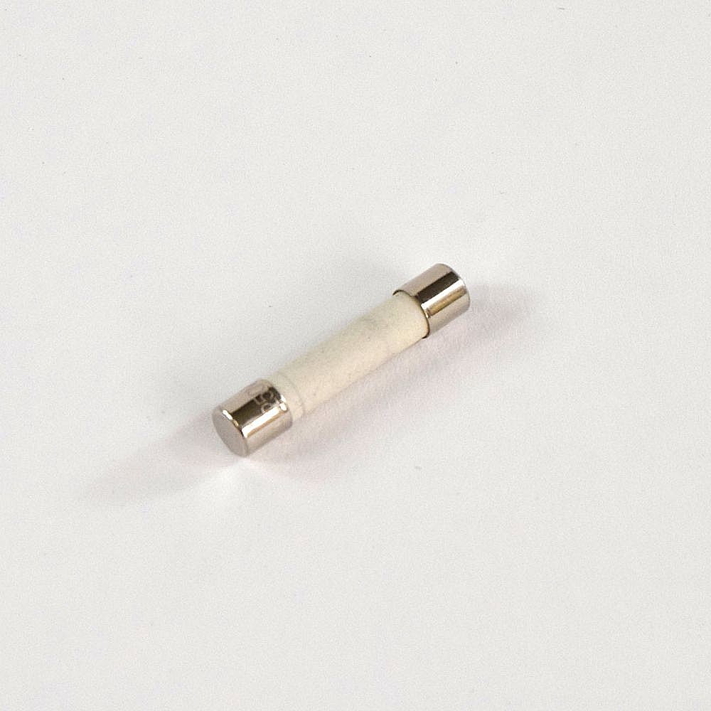 Part #we1X21975, Dryer Fuse, 30-Amp / 6.00 x 6.00 x 0.30