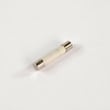Dryer Fuse, 30-amp WE1X21975