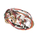 Electronic Harness WE26M412