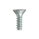 Hinge Screw WE2M262