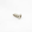 Dryer Screw for GE DDG7189SBLAA - Part WE2X378