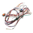 Harness Assembly for GE GLDS560ED1WW - Part WE5M90