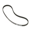 Washer Drive Belt