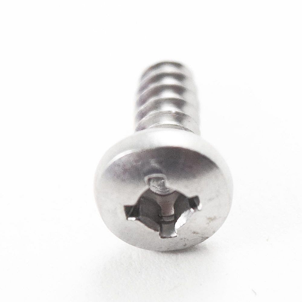 Washer Screw
