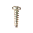 Screw_st 4.2 for GE WPDH8900J0MV - Part WH02X10187