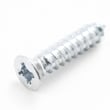 Washer Door Hinge Screw for GE WSSH300G1WW - Part WH02X10248