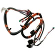 Main Harness Dd for GE PTW700BST0WS - Part WH08X33962