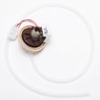 Pressure Sensor WH12X10103