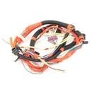 Harness Main WH19X27496